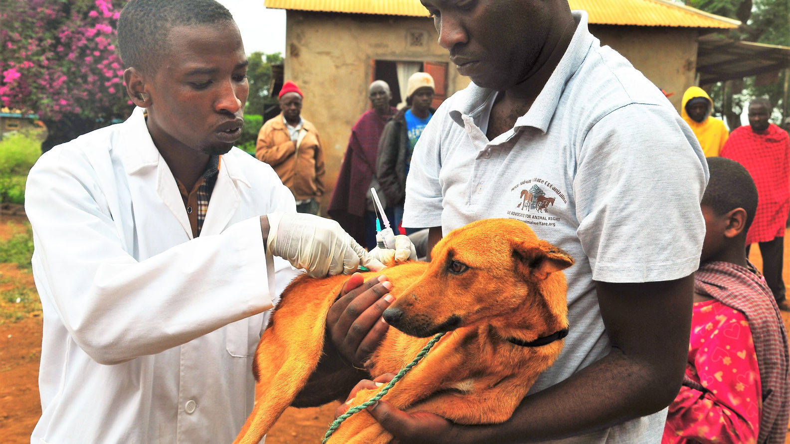 MAWO Initiatives